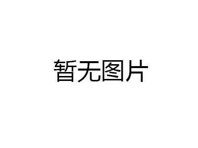 制動(dòng)輪